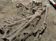 31,000-Year-Old Skeleton Missing Foot May Show Oldest Amputation