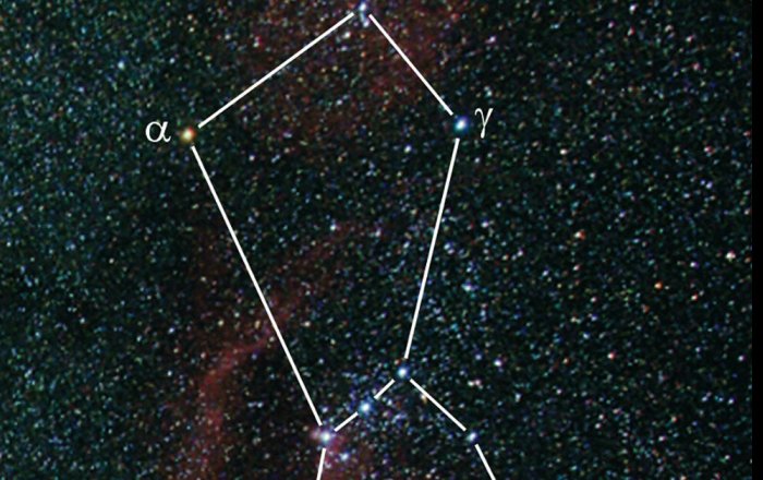 The constellation Orion, Betelgeuse is marked with Alpha. Credit: Markus Mugrauer