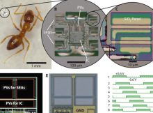 Smart Microrobots Walk Autonomously With Electronic 'Brains'