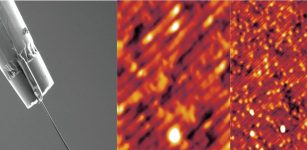 Scanning electron microscope image (left) of samarium hexaboride nanowire bonded to STM, with images from new study (middle and right). The middle image is a zoomed in view, showing light-dark-light striping that occurs in antiferromagnetic material. Credit: Provided by authors for use in this news story