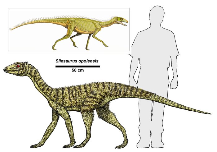 Shaking The Dinosaur Family Tree: How Did ‘Bird-Hipped’ Dinosaurs Evolve?