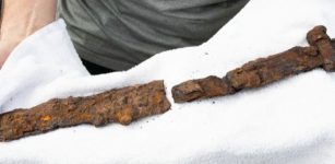 Man Finds An Viking Sword In His Garden - A Viking Grave Could Also Be Near The Area - Scientists Say