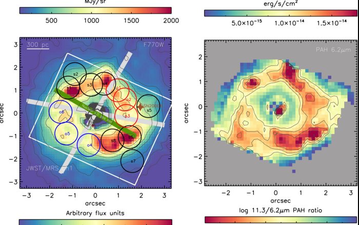 New Surprises On Galaxy Organic Molecules Near Black Holes - Revealed By JWST