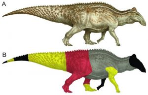dino mummies