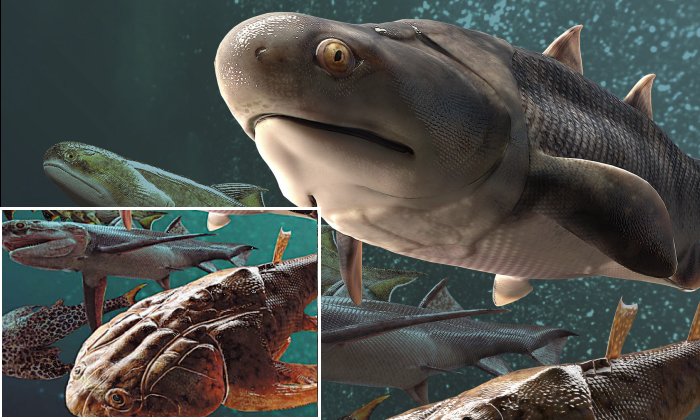 Fish Fossils Rewrite Evolutionary History - A New Study Shows