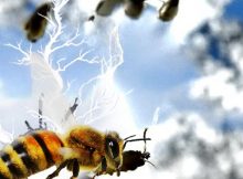 AI rendering of bees and electricity. Credit: Ellard Hunting