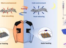 Graphical abstract. Credit: ACS Nano (2022). DOI: 10.1021/acsnano.2c04971