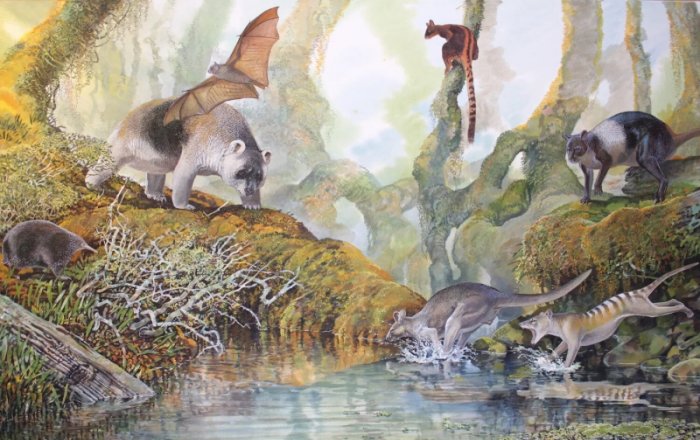 Reign Of Papua New Guinea's Megafauna Lasted Long After Humans Arrived