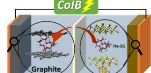 With operando techniques, it is possible to observe how solvated ions embed themselves in batterie electrodes. This might help to develop alternative batteries. Credit: G. A. Ferrero