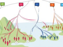 Intriguing Study Reveals Genes And Languages Aren't Always Found Together - What Does This Say About Our Ancestors?