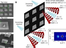 Holographic approach to generating neutron helical wavefronts that carry well-defined OAM. (A) SEM images characterizing the array of fork dislocation phase gratings used to generate the neutron helical wavefronts. The arrays covered an area of 0.5 cm by 0.5 cm and consisted of 6,250,000 individual 1 μm–by–1 μm fork dislocation phase gratings that had a period of 120 nm, had a height of 500 nm, and were separated by 1 μm on each sides. Three arrays with topological charges of q = 0 (standard grating profile), q = 3 (shown here), and q = 7 were used in the experiment. (B) Each phase grating generates a diffraction spectra consisting of diffraction orders (m) that carry a well-defined OAM value of ℓ = mħq. (C) Intensity in the far field is the sum over the signal from all of the individual fork dislocation phase gratings. Shown is an example of the collected small-angle neutron scattering (SANS) data. Credit: Science Advances (2022). DOI: 10.1126/sciadv.add2002