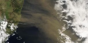 Dust from the continents' interior delivers iron to nutrient-poor ocean areas. Here: A dust plume blows across the Tasman Sea from the east coast of Australia between Sydney and Brisbane on 28 October 2003. Photo: Jeff Schmaltz, MODIS Rapid Response Team, NASA/GSFC