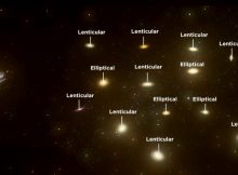 A representation of how the EAGLES program classifies galaxy as assessed by AI. Credit: ICRAR