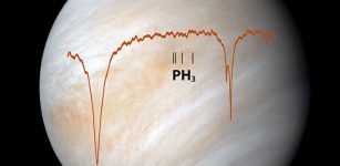 No Phosphine On Venus--According To Observations From SOFIA