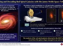 Discovering a rare red spiral galaxy population from the early universe with the James Webb Space Telescope