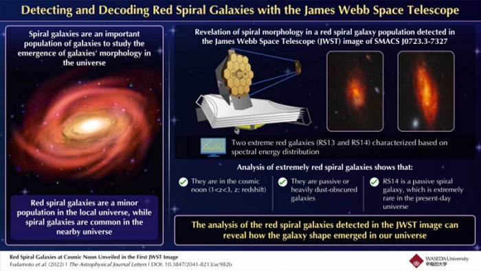 Discovering a rare red spiral galaxy population from the early universe with the James Webb Space Telescope