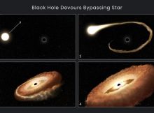 This sequence of artist's illustrations shows how a black hole can devour a bypassing star. 1. A normal star passes near a supermassive black hole in the center of a galaxy. 2. The star's outer gasses are pulled into the black hole's gravitational field. 3. The star is shredded as tidal forces pull it apart. 4. The stellar remnants are pulled into a donut-shaped ring around the black hole, and will eventually fall into the black hole, unleashing a tremendous amount of light and high-energy radiation