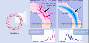 Plasmoid behavior of pure hydrogen and hydrogen mixed with 5 % neon. In this experiment, a new Thomson Scattering (TS) diagnostic system operating at (an unprecedented rate of) 20 kHz was used to (i) measure the density of the plasmoid at the moment it passed through the observation region, and (ii) identify its position, which verified the theoretical predictions.