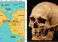 Ancient DNA Reveals Migration From North America Across The Bering Sea