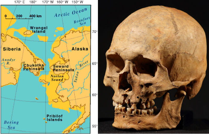 Ancient DNA Reveals Migration From North America Across The Bering Sea