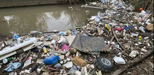 Plastic waste in a creek bed at Fairmount Park in Riverside, Calif. David Danelski/UCR