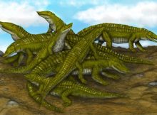 A 150-Year-Old Mystery About Aetosaurs-Reptiles That Died Out About 204 Million Years Ago - Solved