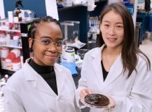 Researchers Néhémie Guillomaitre and Xiaohui Xu hold a sample of the solar-powered gel which acts like a sponge to absorb water and requires only sunlight to filter contaminants. (Photo by Bumper DeJesus)