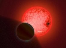 Unusual Discovery: Gas Giant Planet Orbits A Small Red Dwarf Star TOI-5205