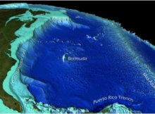 This visualization depicts bathymetric features of the western Atlantic Ocean Basin, including the continental shelf, captured by satellite. Credit: NOAA's National Environmental Satellite and Information Service