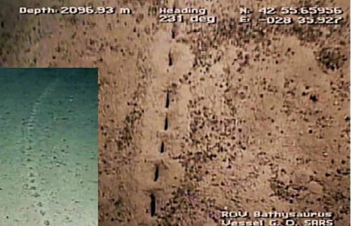 Who Or What Made These Mysterious Holes At The Bottom Of The Atlantic Ocean?