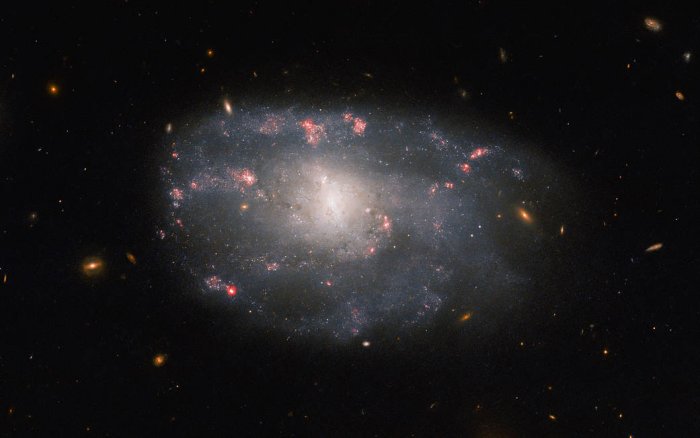 Irregular Spiral Galaxy NGC 5486 - Spotted By Hubble