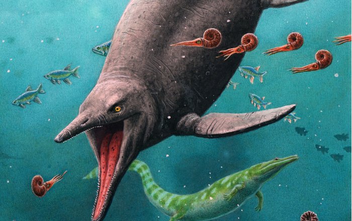 Oldest Sea Reptile From Age Of Dinosaurs Found On Arctic island