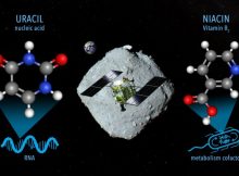 A conceptual image for sampling materials on the asteroid Ryugu containing uracil and niacin by the Hayabusa2 spacecraft (NASA Goddard/JAXA/Dan Gallagher). Credit: NASA Goddard/JAXA/Dan Gallagher