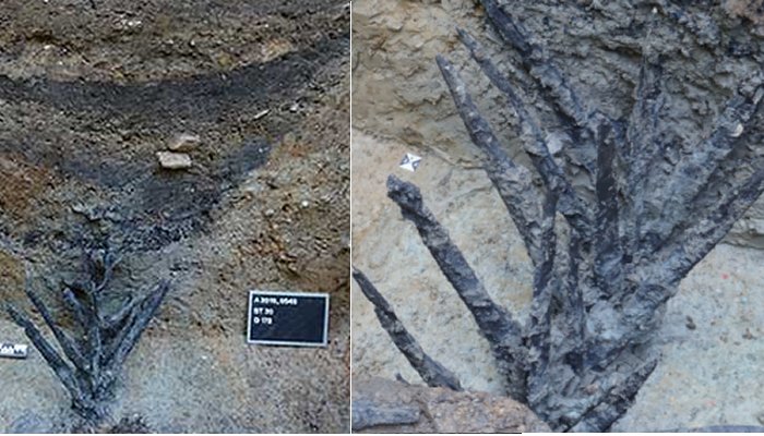 200 Tons Of Silver Hidden From The Romans On The Shores Of The River Lahn