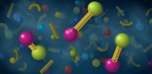 Scientists used the STAR detector at the Relativistic Heavy Ion Collider (RHIC) to track how upsilon particles dissociate in quark-gluon plasma. These upsilons are made of a bottom quark and antibottom quark held together by gluons with different binding energies: a tightly bound ground state (left), an intermediate variety (right), and the largest, most loosely bound state (center). Credit: Brookhaven National Laboratory