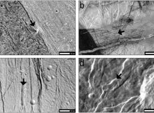 Icy Moonquakes: Surface Shaking Could Trigger Landslides