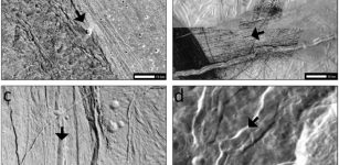 Icy Moonquakes: Surface Shaking Could Trigger Landslides