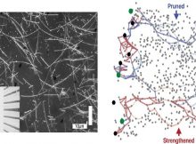 Nanowire Networks Learn And Remember Like A Human Brain