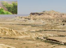 Mystery Of Ancient Gaza Wine – New Insight