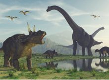 Evolution Of The Largest of The Large Dinosaurs