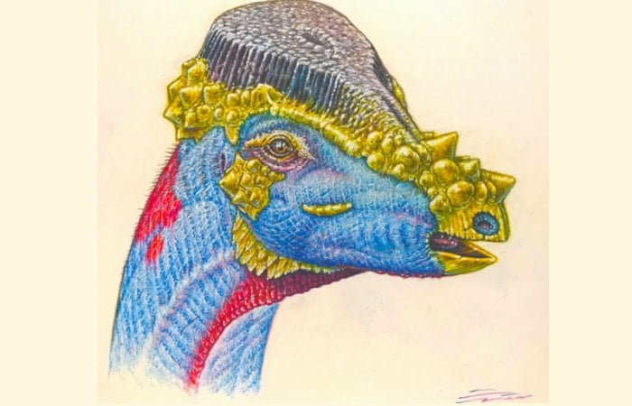 Newly Described Species Of Dome-Headed Dinosaur May Have Sported Bristly Headgear