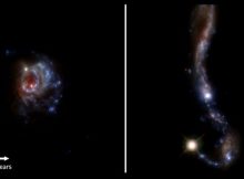 Two of the 45 galaxies in the sample of local galaxies, observed with the Hubble Space Telescope. Two of the 45 galaxies in the sample of local galaxies, observed with the Hubble Space Telescope. The colors indicate infrared, visual, and ultraviolet light from the stars in the galaxies. Credit: Melinder et al. (2023).