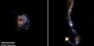 Two of the 45 galaxies in the sample of local galaxies, observed with the Hubble Space Telescope. Two of the 45 galaxies in the sample of local galaxies, observed with the Hubble Space Telescope. The colors indicate infrared, visual, and ultraviolet light from the stars in the galaxies. Credit: Melinder et al. (2023).