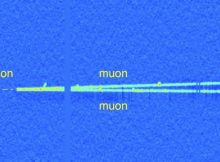 Searching For New Particle: Discovering Axions Could Help Answer One Of The Most Puzzling Questions In Physics