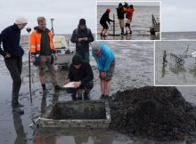 Lost Since 1362: Researchers Discover The Church Of A Sunken Medieval Trading Place