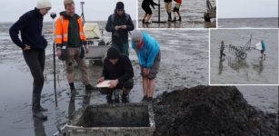 Lost Since 1362: Researchers Discover The Church Of A Sunken Medieval Trading Place