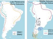 Tracing Chile's Indigenous Roots Through Genetics And Linguistics