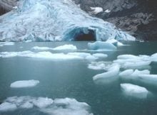 Tourists Help Scientists Reveal Microplastic Pollution On Remote Arctic Beaches