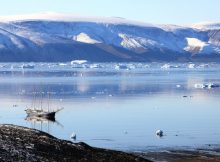 Greenland Has Greener History Than Previously Thought