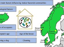 Link Between Climate Change And Immune Health - New Research